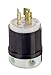 Leviton 2311, Black-White primary