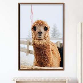 signwin Framed Canvas Wall Art Llama Animals Camels...