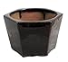 Self Watering Glazed Ceramic Pot - Brown - 6 3/8