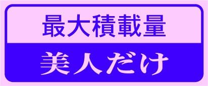 Amazon 面白ステッカー 最大積載量 3種類各1枚 お買得セット No 21 ステッカー デカール 車 バイク Amazon 面白ステッカー 最大積載量 3種類各1枚 お買得セット No 21 ステッカー デカール 車 バイク
