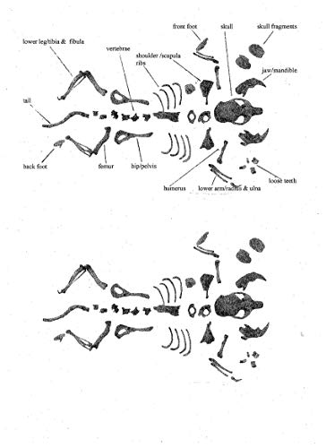 5 Premium+Barn+Pellets+Small+Pack