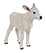 Safari Ltd Safari Farm Brown Swiss Calf