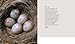 The Mating Lives of Birds (Mit Press)