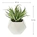 Small Faux Aloe Succulent in White Geometric Ceramic Planter - 4.5 x 6.5 Inches - Marmeda Decor Potted Artificial Plant in Glazed Vase - Modern Decor for Home or Office