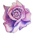 MR3Graphics Magnet Blue Moon Rose Magnetic Car Sticker Decal Bumper Magnet Vinyl 5"