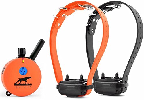Educator UL-1202 Two Dog Upland Hunting 1 Mile E-Collar Remote Dog Training Collar With Vibration and Tapping Sensation