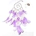 Light Up Dream Catchers for Bedroom Wall Hanging Decorations, LED Dreamcatcher Home Ornaments with 20 LED Lights,Fantasy Gifts for Kids, Caught your Dream (Purple)