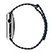 Apple Watch Band, JETech 42mm Genuine Leather Loop with Magnet Lock Strap Replacement Band for Apple Watch 42mm All Models No Buckle Needed (Blue) - 2181