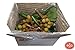 Fresh Longan Fruit (5lb)