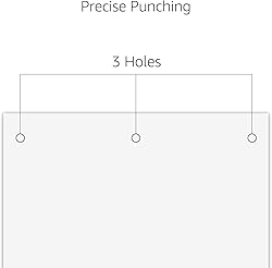 Amazon Basics 3 Hole Punch, 10 Sheet Capacity, Black