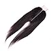 wet and wavy closure brazilian straight 2x6 lace closure silky base pre plucked lace front unprocessed Virgin human hair extensions remy hair weave sew in hair natural color （12 closure）