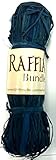 RAFFIA Raffia Bundle Model Kit, Blue