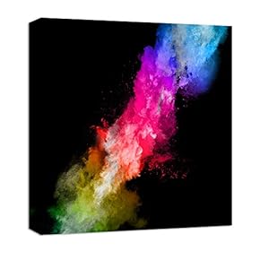 signwin Canvas Wall Art Colorful Powder Canvas Prints...