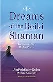 Dreams of the Reiki Shaman: Expanding Your Healing Power by Jim PathFinder Ewing