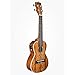 Kala KA-CGE Gloss Mahogany Concert Ukulele with Electronics Natural