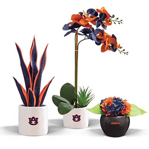 FOREVER LEAF Auburn Artificial Plants, University of Auburn Faux Plants, Auburn…