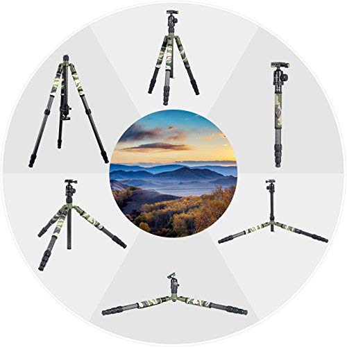 XILETU T284C+FB1 Carbon Fiber Tripod & Ball Head and Removable Monopod