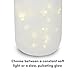 Walk-A-Bout Portable Nightlight Lantern | Bedside Light, Firefly Jar, Auto-Off Fairy Lamp | Fun Design, Soft Glow for Infants, Babies, Toddlers, and Children | MyBaby