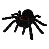 Scientific Toys RC Tarantula
