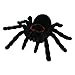 Scientific Toys RC Tarantula
