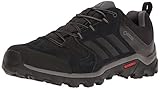 adidas Outdoor Men's Caprock Gore-Tex Hiking Shoe