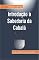Livro Introdução à Sabedoria da Cabalá: Curso de Fundamentos da Sabedoria da Cabalá