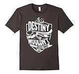 It's A Destiny Thing You Wouldn't Understand T-Shirt
