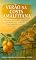 Livro VERÃO NA COSTA AMALFITANA - Quando segredos italianos encontram a coragem de um coração brasileiro (Série Amores na Europa Livro 1)