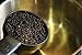 MagJo Dried Elderberries - 100% Wild crafted Dried Elder berries - 2lb Bulk - Non-Irradiated, Non-GMO, Whole Black Elderberry Immune Support - Raw Vegan Sambucus 2 Pack