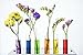 Premium Scientific Grade pH Test Strips, (Research, Lab, Urine, Saliva), Full pH Range of 0-14. (100 Strips)