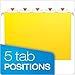 Pendaflex 81606EE Recycled Hanging Folders, Letter Size, Yellow, 1/5 Cut, 25/BX (81606)