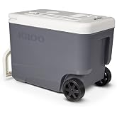 Igloo Iceless Thermoelectric Cooler | Portable Electric Plug-in Coolers