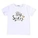Newborn Baby Boy Girl Romper Tops Shirt Sister & Brother Outfits Set Clothes (3-4 Years, Big Sister)