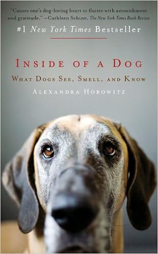 Dogs Place Update Vielen Lieben Dank Fur Eure Tollen Spenden Leo Wurde Am Freitag Operiert Und Es Geht Ihm Den Umstanden Entsprechend Gut Das Auge Wurde Entfernt Und Jetzt Muss Es