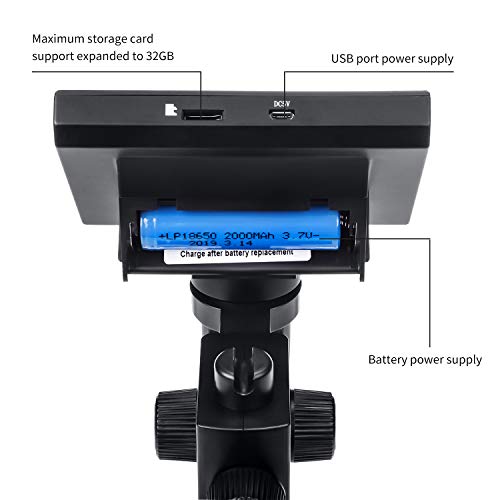 3 Microscope+WACCIU+Magnification+Insectobservation+Identification