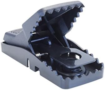 Trapper Mini T-rex Easy Set Mouse Snap Trap (Pack of 12) - Includes the SJ Pest guide eBook