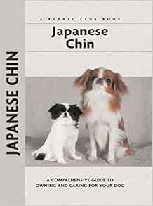 kennel club japanese chin