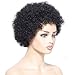 YIROO Afro Kinky Curly Short Human Hair wigs for Black Women Brazilian Virgin Hair Capless Cap Wigs Natural Black Color(6 inch, 1B)