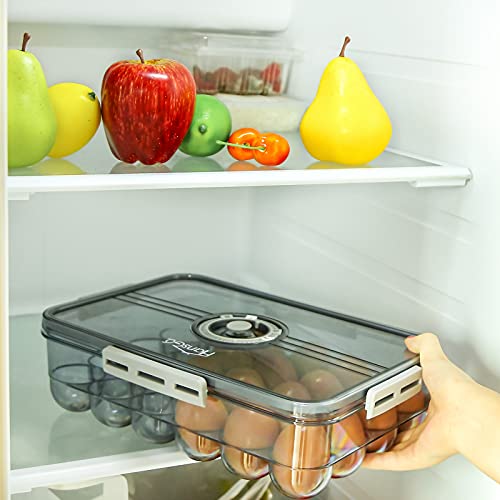HANSGO Egg Holder for Refrigerator, Clear Egg Tray Storage Box with Lid Deepen and thicken Egg Storage Stackable PET Plastic Egg Containers Hold Up to 24 Eggs, Grey