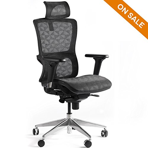 CCTRO High Back Mesh Ergonomic Office Chair with Adjustable Headrest Armrest, 360 Degree Swivel Executive Computer Task Chair for Home Office Conference Room