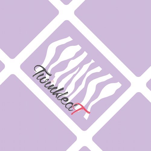 Zebra Stencils Nail Vinyls By Twinkled T - 1 Sheet of 16 Stencils