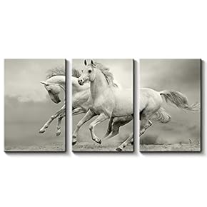 3 Panel Beautiful White Horse Painting Wall Decor...