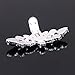Santfe Fashion Crystal Rhinestone Flower Shoe Buckle Shoe Clips for Bridal Wedding Party Shoe Decoration (Black)