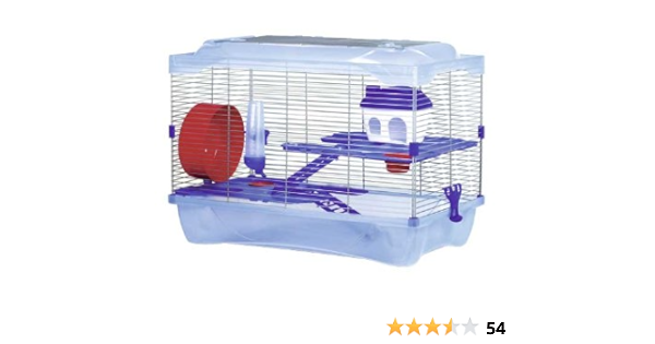 tabby point siamese kittens for sale