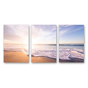 SIGNFORD 3 Piece Canvas Wall Art for Living...