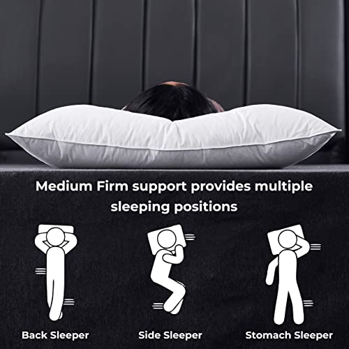 Alanzimo Luxury Hotel Collection Goose Feathers Pillows for Sleeping