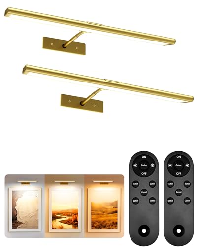 EZVALO Picture Light