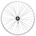 Capstone Beach Cruiser 26 inch Aloy Rear Wheel Bolt On 36H Coaster Brake