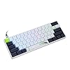 EPOMAKER SKYLOONG SK61 61 Keys Hot Swappable Mechanical Keyboard with RGB Backlit, NKRO, water-resistant, Type-C Cable…