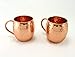 Set of Two 16 Oz Copper Mugs | 100% Pure Copper Handcrafted into the Perfect Hammered Barrel Style Moscow Mule Cup by Trifecta Barware